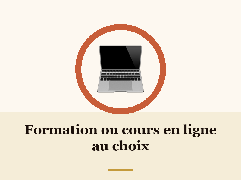 Formation ou cours en ligne au choix