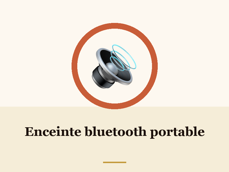 Enceinte bluetooth portable