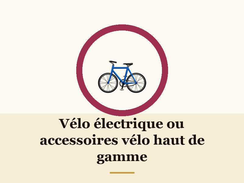 Vélo électrique ou accessoires vélo haut de gamme
