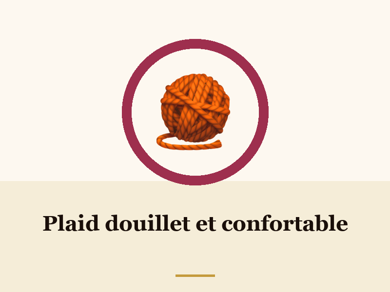 Plaid douillet et confortable